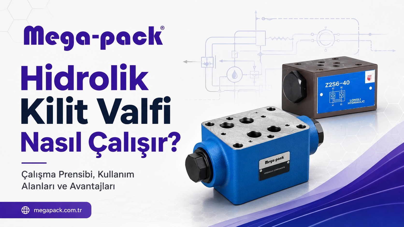 Hidrolik Kilit Valfi Nasıl Çalışır?