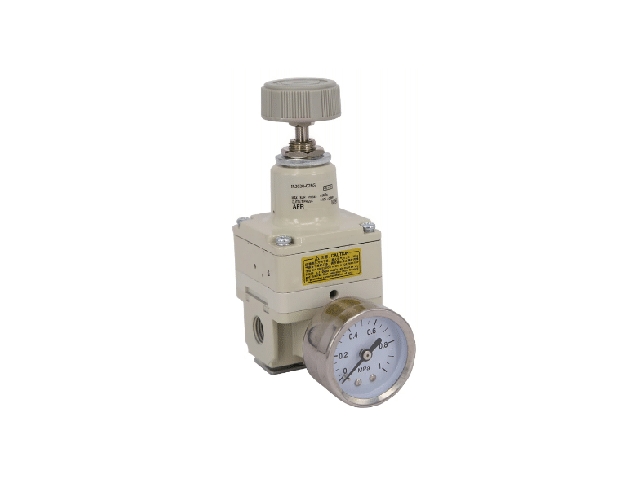 IR2000-02 0,05-2 Bar 1/4 Hassas Regülatör
